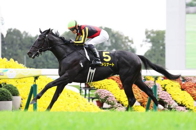 ưۥȥ쥤뻺ϢΥХɥʡȤϥۡץեSG1ĩ