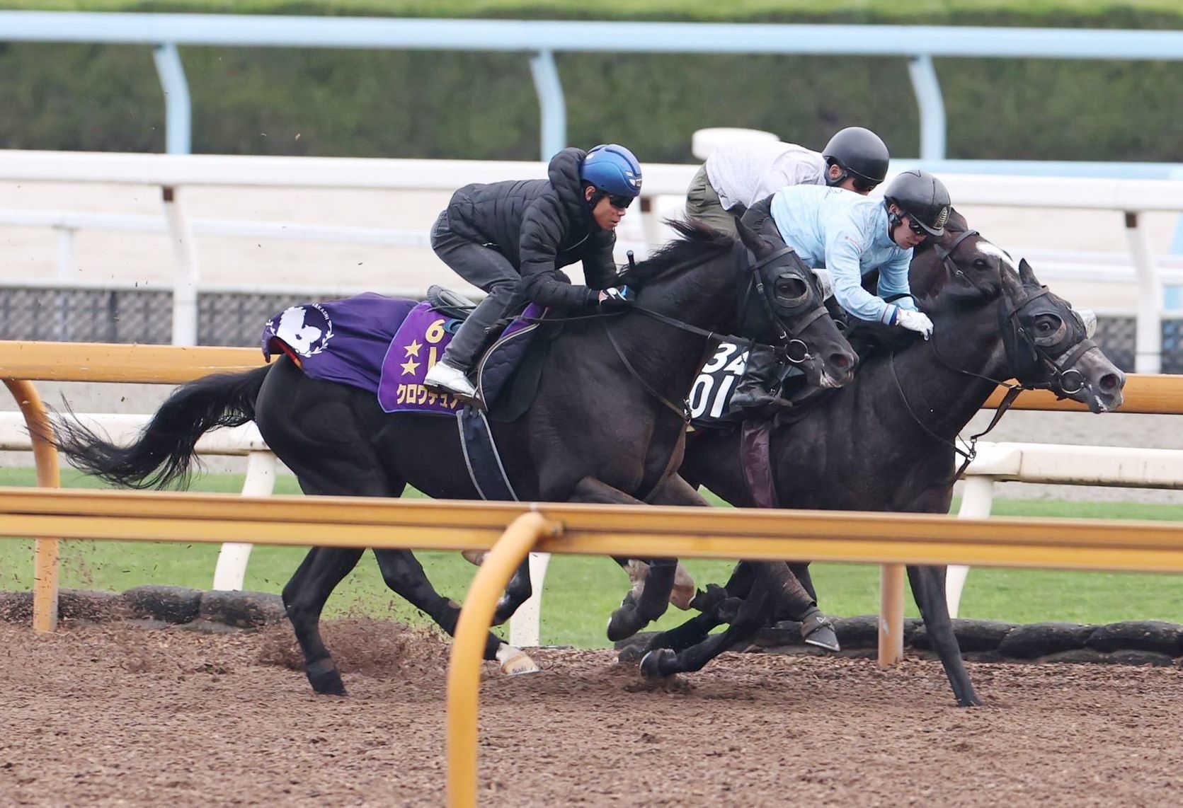 ڥѥáۥǥΡ뵢סȽǤϻۤ¼֤ͧ뤴Ȥɤʤϡޤ轵ɤäƤ