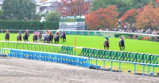 伏兵が大逃げで大波乱!クィーンスプマンテはなぜブエナビスタの鬼脚に勝てた?エリザベス女王杯過去の名レース