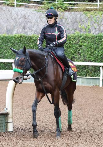 【エリザベス女王杯】アカイイト、クラヴェルが好走シドニーTから　今年は3着の4歳馬オーロラエックス