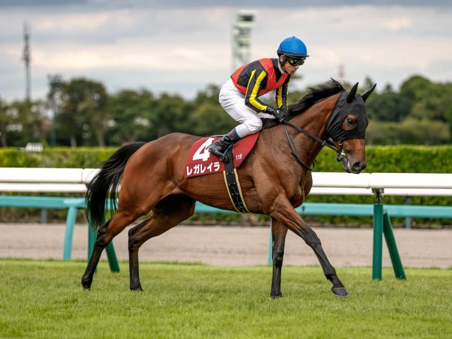 【エリザベス女王杯予想】狙うならこのパターン!? 過去データから探るGIエリザベス女王杯