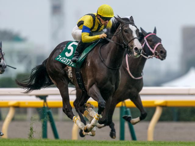 今年のアルテミスS覇者フィロステファニが登録抹消 今後は社台ファームで繁殖入りの予定