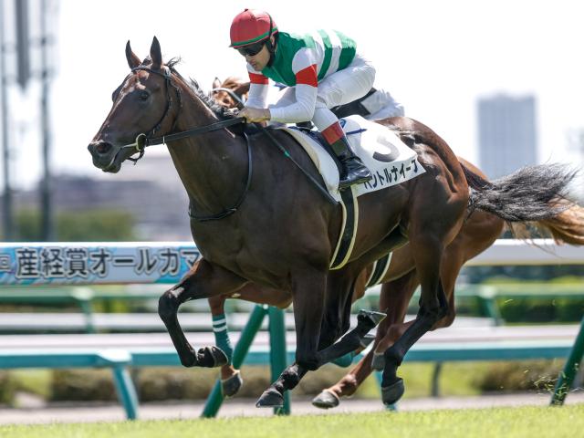 【東スポ杯2歳S想定馬・騎手】パントルナイーフ、ストームサンダーなど13頭