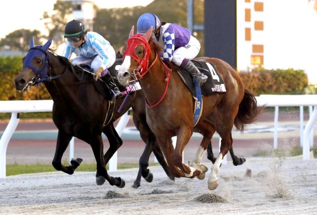 【LJS笠松ラウンド】第1戦は佐々木世麗騎手がV　名古屋の新人・小笠原羚騎手が2、1着でトップ発進