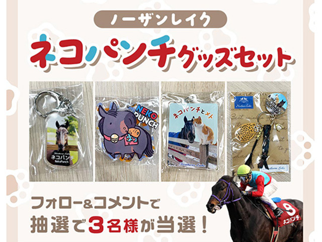【プレゼント】ノーザンレイク・ネコパンチのグッズを抽選で3名様に