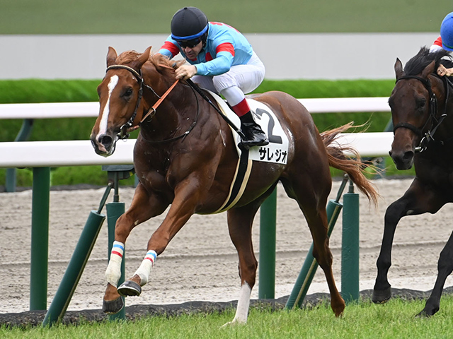 【POG】サレジオが東スポ杯2歳Sに向けシェイプアップ/馬三郎のつぶやき