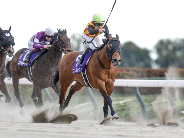 ںܥݥȡ¢Sȥǥ꡼2S2ž