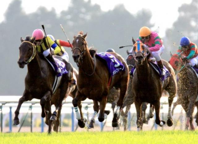 ǥ餫ͭϵǰä!᡼ǥȥ륢ޥݡ龡ĥꥶ٥ղ̾졼