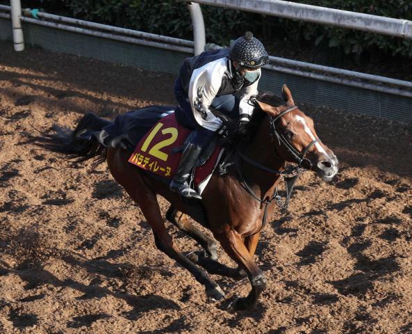 ڥꥶ٥ա(1)ѥǥ졼̡ȯϤޤСĻա˾Ǥޤ