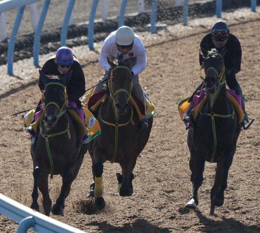 ڥꥶ٥ա(3)祯ȼΤϴޡաֲ԰¤Ϥʤ