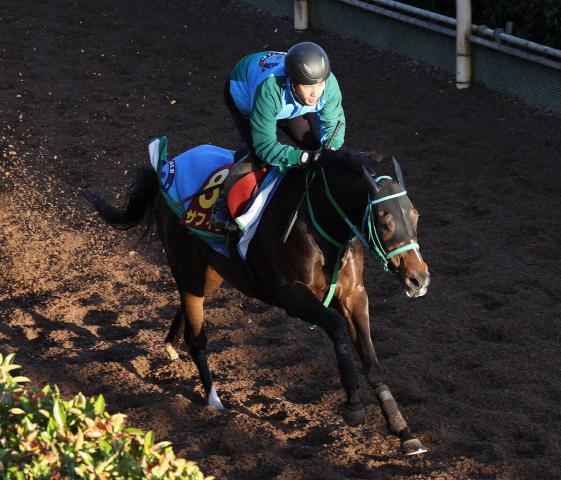 ڥꥶ٥ա(5)ե顡ɤäźա֥ȥåץȤڤ᤮ʤ褦ˡ