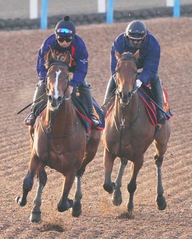 ڥꥶ٥ա(7)쥬쥤顡Ƿڤեåȥ٥󥸤ؾ֤