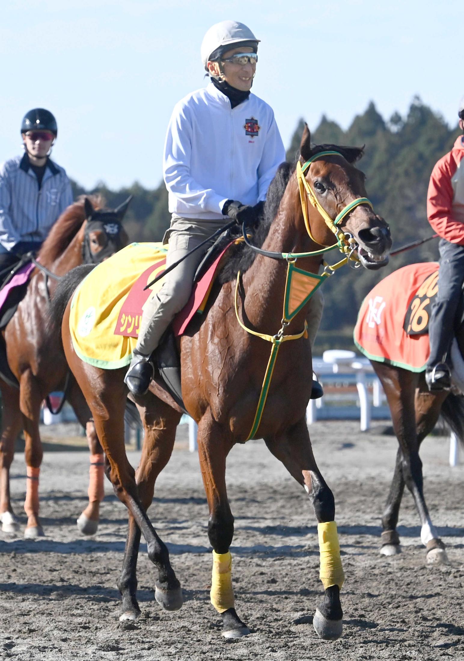 ڥꥶ٥աۥ祯Ϥ嫸롪ȣ֤˼Ȩ֤ϤΥפ˹礦ȡȥ