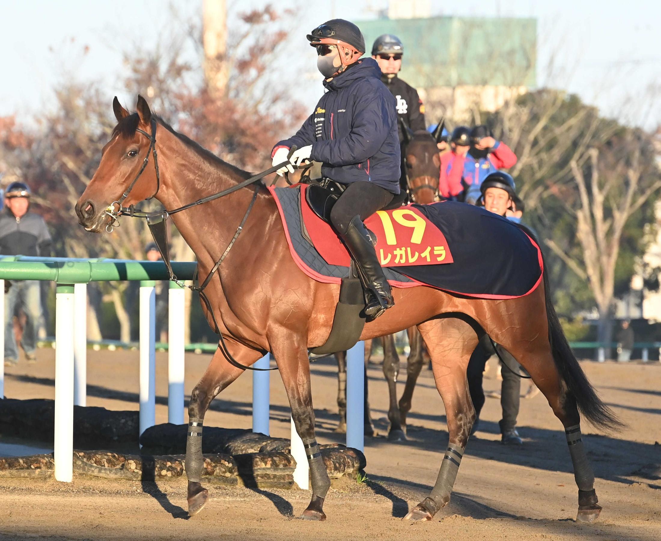 ڥꥶ٥աۥ쥬쥤鸵äѤǯƱȣ֤¼աַ줿֤Ǵĥޤ