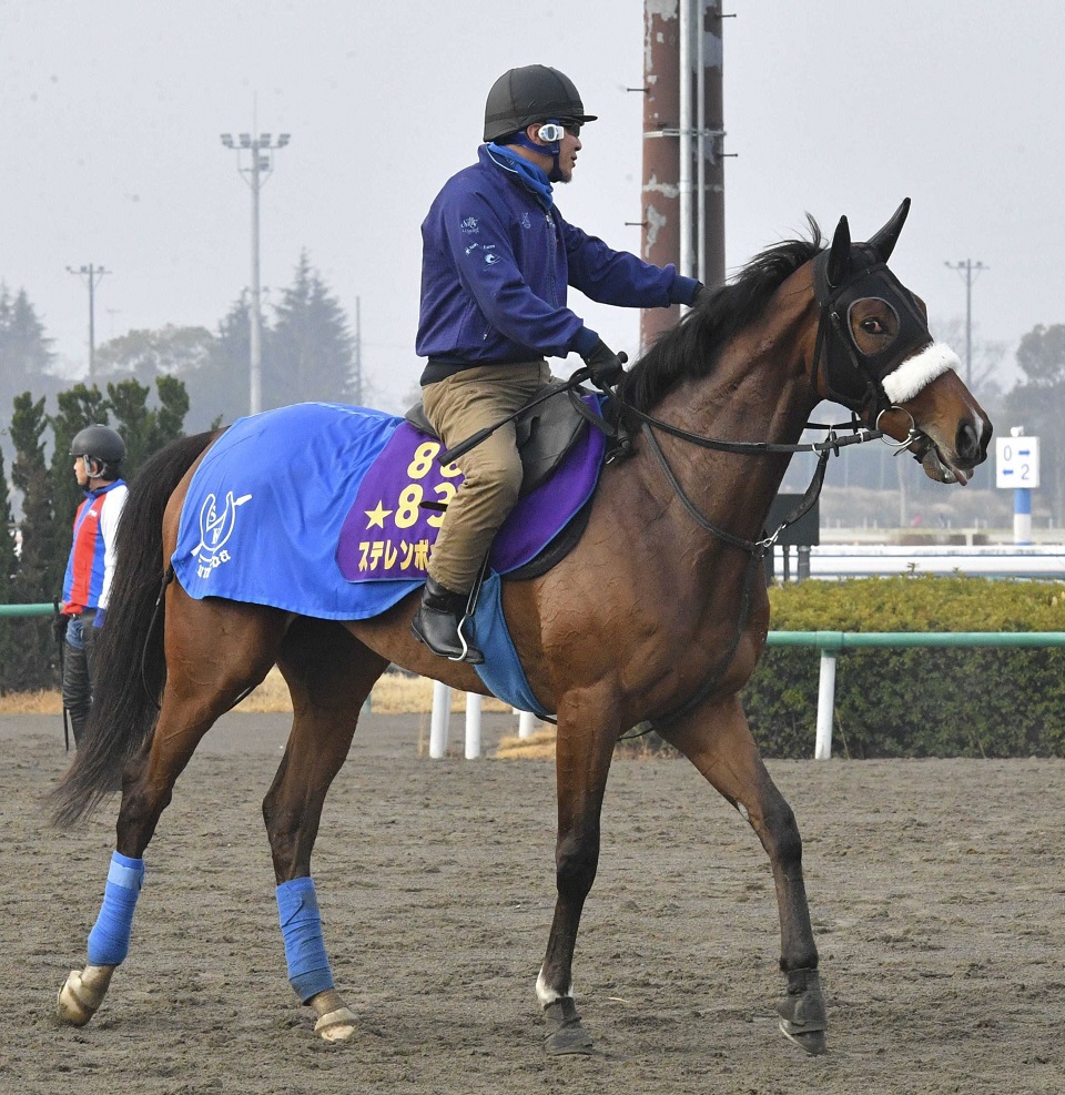 ڥꥶ٥աۥƥܥåϣȣ֡޻ա֤󤸤ʤʡᤵǤ