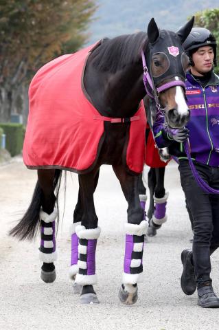 ڥꥶ٥աۥ󥯥ƥåפϳϾĴرġǷޤޤ