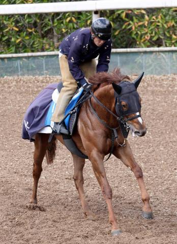 ¢S۷ϥ饤ե쥤ࡡ乥ɥեη줬