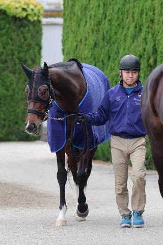 ڥꥶ٥աG1ϥƥܥåϺϩǳ赤ʬرĤ辡˴ԡƤǤޤ