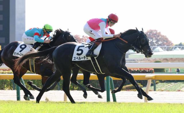 2R2̤줬G1ϤΥڥ롼ǽϤΰ㤤򸫤롡֤ޤޤɤʤ