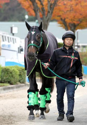 ڥꥶ٥ա˭굳Υꥫץ쥹ϺϩǺǽĴرġֻפäʾ˥å