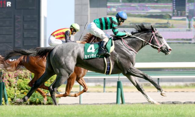 【デイリー杯2歳S・追ってひと言】キャンディードが状態◎　松下調教師「どんな競馬でもできる」