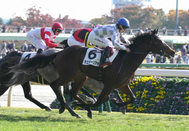 【東京6R・新馬戦】マスターソアラが差し切って新馬V　横山武「調教から凄い素質があると期待していた」