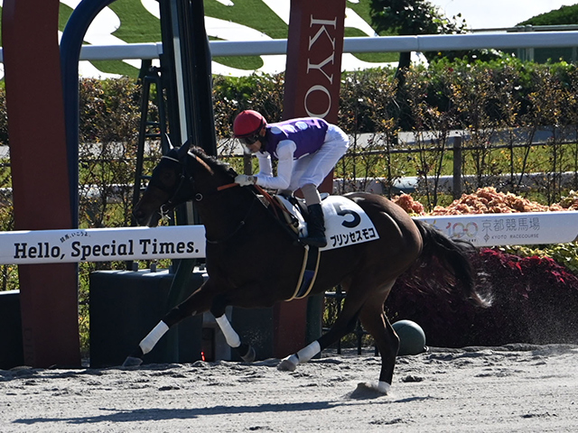 ڵ6R̡ۥץ󥻥⥳͵˱ƴ 㡼饿󻺶JRA龡