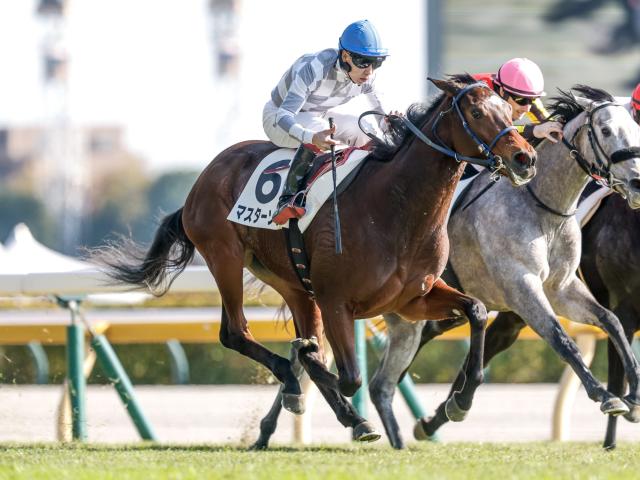 6R̡ۥ󻺶ޥ餬ڤ꾡