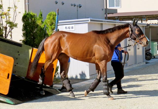 ڥꥶ٥աۺǯβ餷쥬쥤顡رġμ夬äǤ