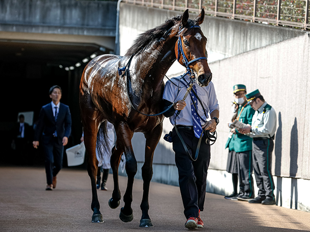 【メイクデビュー東京6Rレース後コメント】マスターソアラ横山武史騎手ら