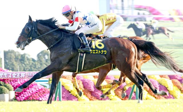 ڵ10RɥSۥȥʥ䤫ڤꥪץVִ԰ʾΥѥեޥ󥹡