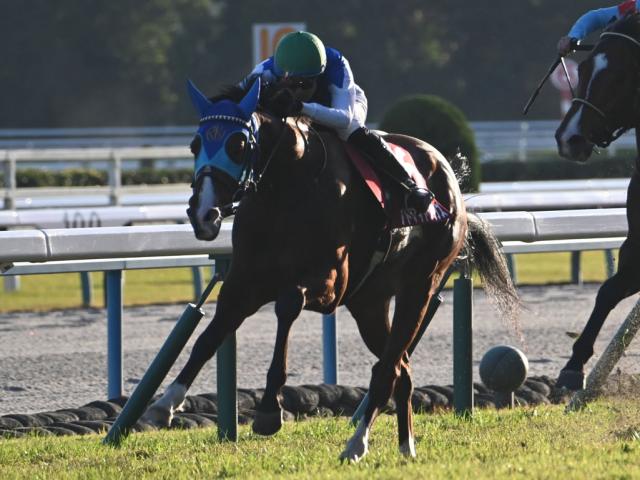 JRAWIN5WIN5Ū24ɼ12552240