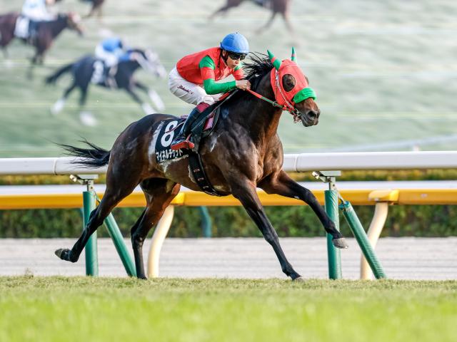 ڱ¿S졼女ȡۥޥͥåȲ˵