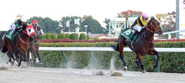 ¢S3Х륯륫եž޽VֽȯϤơġץ졼󵳼ӥå