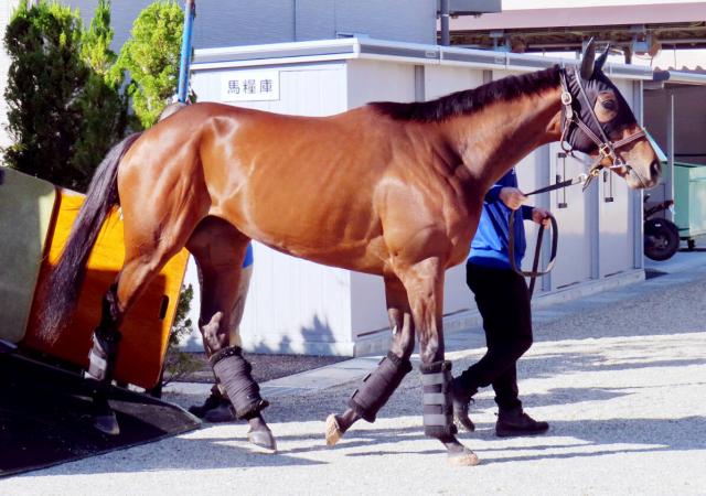 ڥꥶ٥աñ1ֿ͵ϥ쥬쥤22ܡ2ֿ͵˰ճ1Ϥ塡ǽå