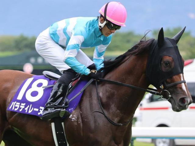 ԼǤϥʻ𤬹Ĵ ꥶ٥դϥѥǥ졼̤Ǿ