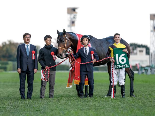 ¢S졼女ȡۥ륯륫ե D.졼󵳼