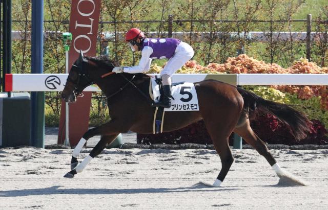 【京都新馬戦】プリンセスモコV　断然人気に応えた!　北村友「まだ良くなる」