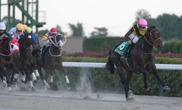 【武蔵野S】ダート界に新星!ルクソールカフェ圧倒　期待の3歳良血開花で重賞初制覇