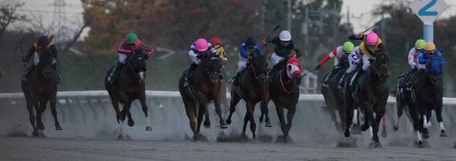 【武蔵野S】コスタノヴァ2着　出遅れも挽回　ルメール無念「最後は良く走ったが…」