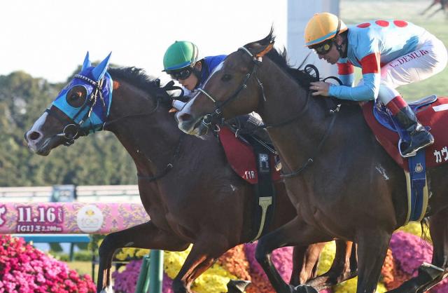 【デイリー杯2歳S】アドマイヤクワッズ　ど根性V!圧巻2歳コースレコードで出世レース制す