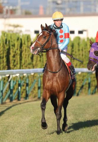 【デイリー杯2歳S】カヴァレリッツォ2着　直線伸びるも…C・デムーロ「精神的な成長が必要かな」