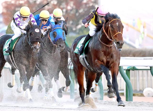 【武蔵野S】レーン「いろいろな面で成長を見せてくれた」3歳馬ルクソールカフェ古馬撃破で重賞初制覇