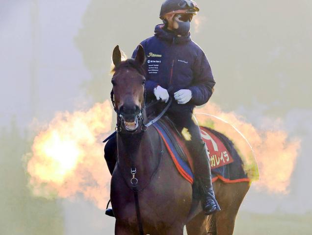 【エリザベス女王杯・追ってひと言】本紙最高評価はレガレイラ　木村調教師も「トラブルなく健やかです」