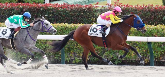 【東京4R・2歳新馬】アジアントレジャーが大外枠から逃走V　酒井学騎手「まだ抜きながら走っているし楽しみ」