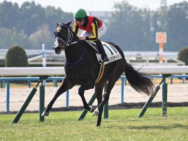 エリザベス女王杯は外伸び馬場を生かせる2頭に注目