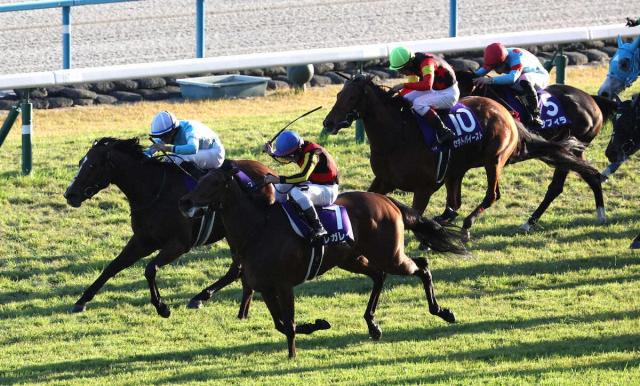 ڥꥶ٥ա9ֿ͵6Х饤åľ3!ƣϤϤƤޤ͡