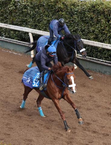 ڥCۥե󥿥ູڤVֶϤǤ