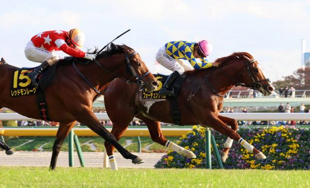 ڥC1ֿ͵ե󥿥ब䤫ڤV־ƤʤȤǤ