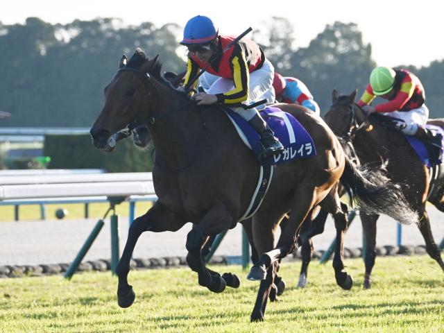 ڥꥶ٥շ̡ۥ쥬쥤餬ǯ㿫̤ 3ǯϢ³GIơ